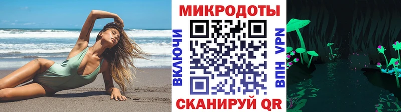 Псилоцибиновые грибы Psilocybe  ссылка на мегу tor  Новокузнецк 