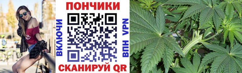 сколько стоит  Новокузнецк  Конопля Bruce Banner 
